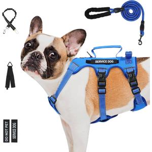 Escape Proof Dog Harness for Large Medium Sized Dogs Six Point Adjustable, Service Dog Vest Harness and Leash Set, No Pull Dogs Harnesses with Handle, Medium Dog Harnesses for Walking, (Blue, S)