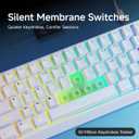 SEUNKWANG F61 60% Gaming Keyboard Wired, RGB Backlit Membrane Keyboard with PBT Keycaps, Compact Design, Lanyard Wired Keyboard for Mac/Win (White, Wired)