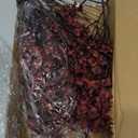 Babys Breath Silk Artificial Flowers Bulk 20pcs for Fall Decor Fake flower bouquet Bulk for Home Kitchen Indoor Bouquet Floral Arrangement Table Centerpieces Party Decor(Burgundy Red 20pcs)