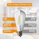 Jensense Edison Bulbs 6W E26 LED Bulb 60 Watt Equivalent, Vintage LED Light Bulbs CRI90+ ST19, Dimmable Clear Light Bulbs, 2700K Soft Warm White 4 Pack