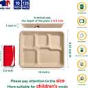JOLLY CHEF Small Compostable 5 Compartment Paper Plates 10 * 8.25 * 1 inch 125 Pack Disposable Eco-Friendly Biodegradable Food Trays for Primary and Secondary School Students Lunch (Brown)