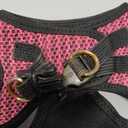 Best Pet Supplies Voyager Step-in Air Harness - All Weather Mesh, Reflective, No Pull Harness for Dogs, Cats - Secure with Hook & Loop Fastener, Buckle, Double D-Rings - Fuchsia 2-Tone, XS Chest: 13 - 14.5"