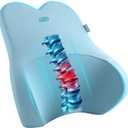 Skechers Air-Cooled & Memory Foam Lumbar Pillow,Lumbar Support Pillow for Office,Chair Lower Back Pain Relief Lumbar Pillow,Ergonomic Design Back Support Pillow for Office Chair,Car,Home,Travel,Blue