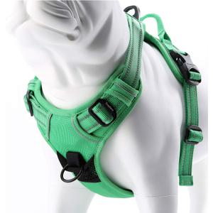 JUXZH Truelove No Pull Dog Harness with Easy Control Handle and 2 Leash Attachments,Reflective Adjustable Pet Vest (Small (Pack of 1), Grass Green)