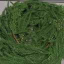 Waipfaru 9ft Artificial Norfolk Pine Garland, Realistic Christmas Garland with Lights Faux Winter Pine Greenery for Mantle,Table, Wall,Indoor,Outdoor Winter Christmas Decorations