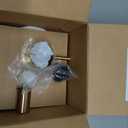 Moen Align Brushed Gold Pressure Balancing Single Shower Lever Handle, Posi-Temp Valve Required, T2191BG