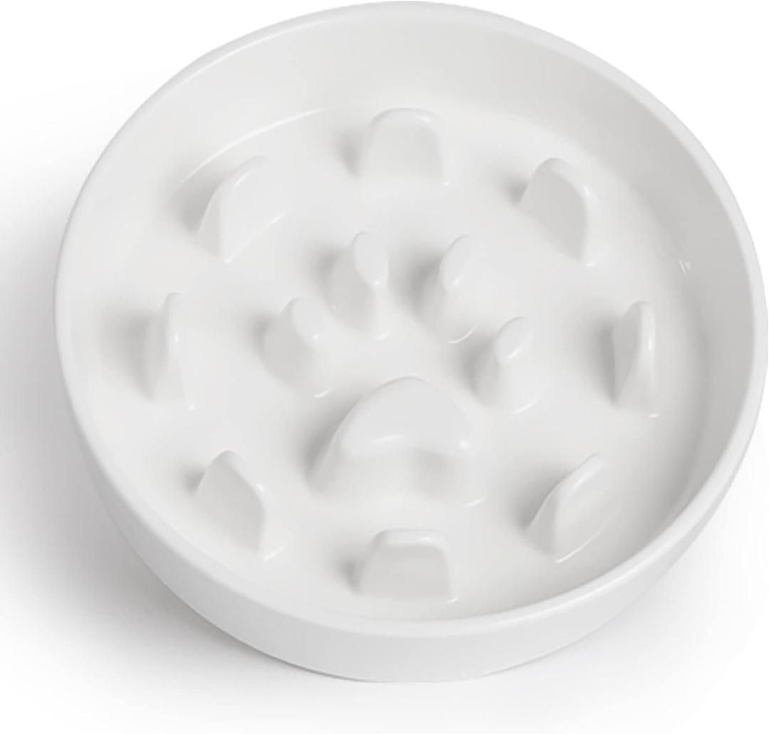 Slow Feeder Dog Bowls, Ceramic Fun Slow Eater Bowl for Small Medium Breed (White)