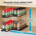 Nieifi Pull Out Spice Rack Organizer, 2 Tiers, Acrylic Transparent, Spice Organization for Cabinet, Height Adjustable, Easy to Install