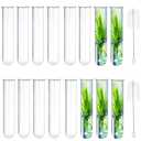 15Pcs Glass Tubes for Plants, Plant Propagation Tube Test Tubes for Scientific Experiments 20 ml Glass Test Tubes for Hydroponic Plants, Home Office Wall Decor (12cm)