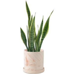 5 inch Plant Pot - Terra Cotta Flower Planters Indoor - Modern Succulents Containers with Drain Hole & Saucer, Decorate Home, Office & Outdoor (Pink)