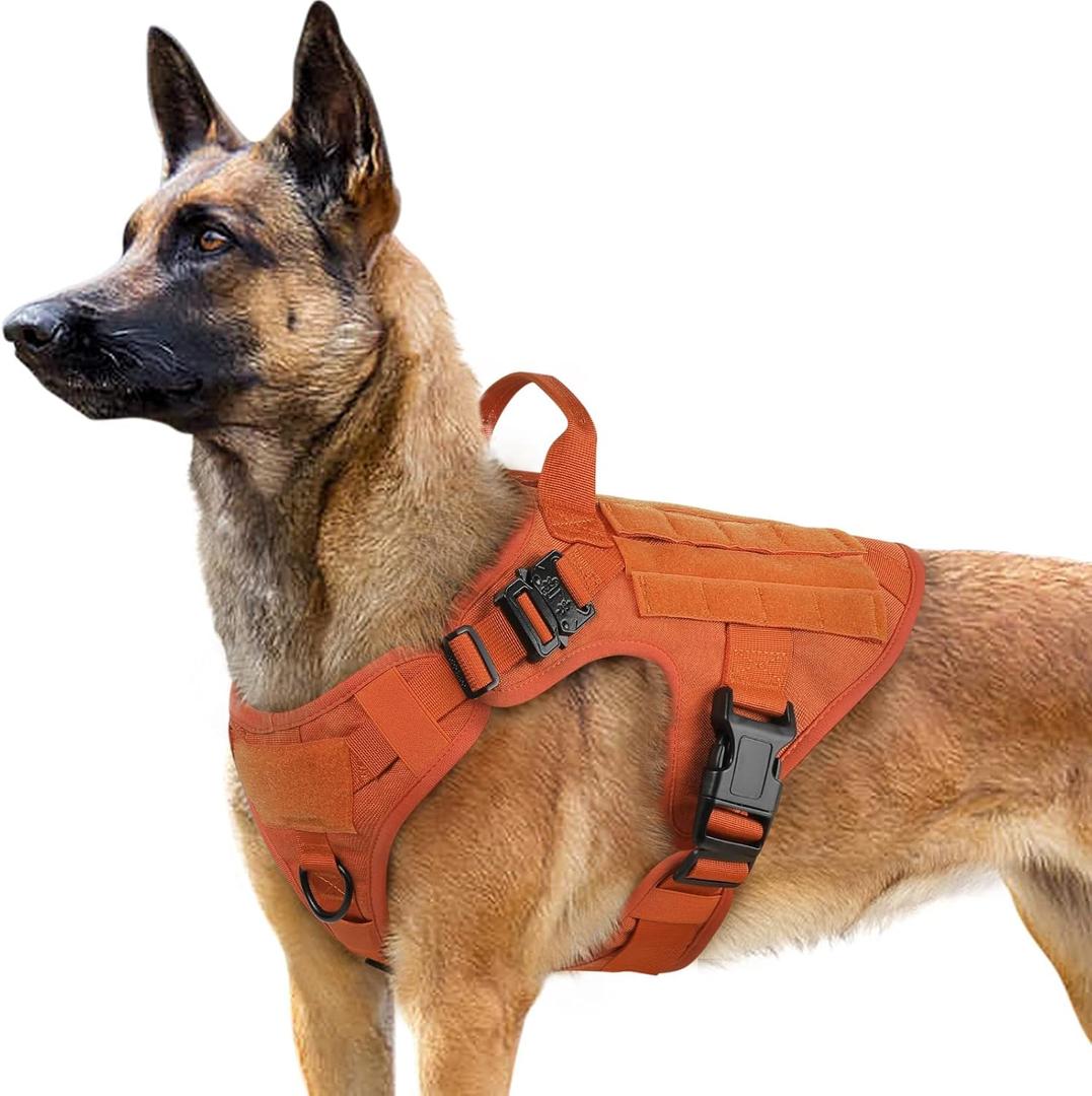 rabbitgoo Tactical Dog Harness for Large, Heavy Duty Pet Harness with Handle, No-Pull Service Vest Large Breed, Adjustable Military Dog Vest for Training Hunting Walking, Orange, Large