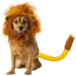 Rubie's Disney Lion King Pet Costume Accessory Set, Simba, Medium/Large