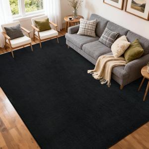 FinRec 5x7 Washable Area Rugs for Bedroom Living Room, Low Pile Thin Rug Solid Color, Non-Slip Carpet Indoor for Home Decor (Pure Black)