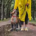 Idepet Dog Suspender Boots, Anti-Slip & Fall Waterproof Tall Shoes Legging for Small Medium Dog, Adjustable Suspender Boots for Winter Snow Rain Hiking Paws Protector 7