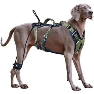 No Pull Dog Harness for Large Dogs, Heavy Duty Tactical Dog Harness with Handle, Easy Control and Training Better Leash Manners (Moss Green, Medium)