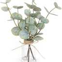 Amazon.com: Muhanjia Artificial Eucalyptus Stems in Glass Vase with Faux Water,3Pcs Fake Plant with Double-Sided Green Leaves for Centerpiece(Double-Sided Green Eucalyptus) : Home & Kitchen