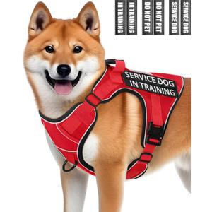 Service Dog in Training Vest, Reflective Do Not Pet Dog Harness with Handle and 6 Patches, Full Metal Buckles, for Medium Dogs Training Walking