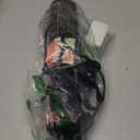 Dual Voltage Hair Dryer Brush with European Plug,Travel Blow Dryer Brush for Blowout Look, One-Step Hot Air Brush Volumizer,Smoothing,125V/220V