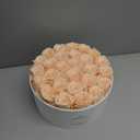 17 Forever Flowers in a Luxury Suede Box, Preserved Roses Birthday Gifts for Women, Romantic Anniversary Valentines Day Gifts for Her Girlfriend Wife, Champagne