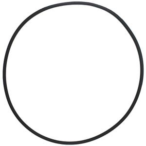 Clamp O-Ring Compatible with Pentair 39010200 for Select Clean & Clear Plus, FNS Plus and Quad DE Series Pool and Spa Filter Tanks - Also Compatible with 39010200Z (1-Pack)