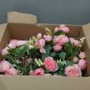 Jexine 24 Bundles Silk Artificial Peonies Flowers Faux Peony Bouquet Fake Peonies Artificial Flowers Bouquets for Vase Floral Arrangements Wedding Home Table Decoration (Light Pink,Dark Pink)