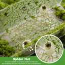 Jumping Spider Accessories Set, 6 Pcs Spider Climing Web with 2 Platforms and 8 Magnets, Small Reptile Spiders Enclosure Decoration Accessories for Climbing, Feeding, Hiding