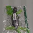 HEX BOTS Wall Crawler Gecko with Official Wall Climber Technology, Rechargeable Remote Control Robot Kids Toys, Prank Toys for Boys & Girls Ages 4 & Up (Multi Color)