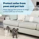 PetSafe ScatMat Indoor Training Mat