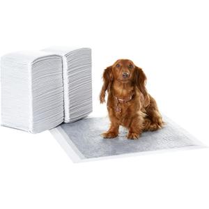 Amazon Basics Dog and Puppy Pee Pads with 5-Layer Leak-Proof Design and Super Absorbent Surface for Potty Training, Odor-Control Carbon, Regular Size, 22 x 22 Inch - Pack of 120, Gray (Regular (120 Count))