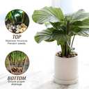 12 lb River Rocks Pebbles for Indoor Plants 3/8-1 Inch Natural Aquarium Gravel Decorative Fish Tank Rocks Garden Landscaping Decor