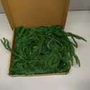 MIZII Christmas Garlands 6FT Artificial Norfolk Pine Garland Real Touch Faux Norfolk Pine Greenery Garland Christmas Decoration for Xmas Fireplace Mantle Home Decor Indoor Outdoor (Norfolk 6FT)