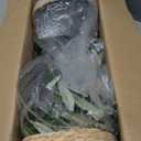 Riceshoot 2 Packs Artificial Olive Tree 3 ft Indoor Faux Olive Tree Tall Fake Silk Plant Potted with Handmade Woven Basket Arbol Artificial for Modern Home Office Living Room Garden Decor