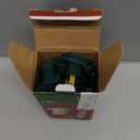 35-Count Clear Christmas Light Set