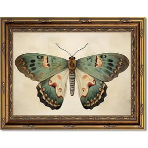 Myzoran Vintage Gold Framed Butterfly Canvas Wall Art,Retro Butterfly Illustration Room Decor,Dark Moody Insect Picture,Antique Moth Artwork for Cottagecore Living Room Bedroom Decoration 9x11 Inch
