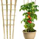 3 Pack Natural Bamboo Trellis 4.8 Ft, Fan-Shape Garden Ladder Plant Trellis for Climbing Plants, Vegetables, Cucumber, Tomato, Potted Plants