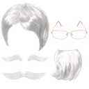 Old Man Wig And Mustache Set Old Man Costume Kit Grandpa Costume Accessories Grey Wig Fake Beard Eyebrows Glasses for Men Adults Teens for Halloween (white)