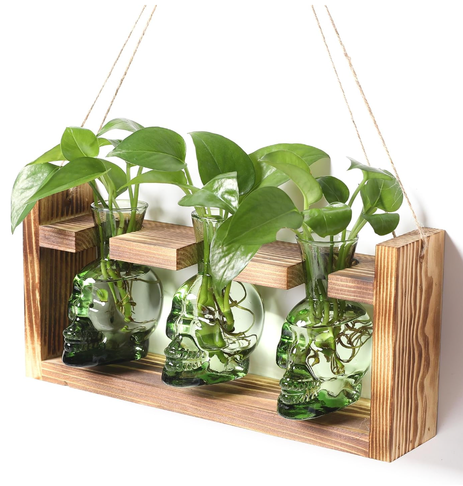 2+1 Plant Terrarium Plant Propagation Station Gifts for Father Halloween Skull Home Office Decor with Wooden Stand