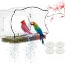 Window Bird Feeder Viewing Box - 10x6 Inches Acrylic Window Bird Feeder with 4 Strong Suction Cups, 3 Compartment Trays, Clear Birdfeeder with Enhanced Grip, Watching Cardinal for Cat