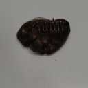 Claw Clip Short Ponytail Messy Bun Hair Piece Bendable Hair Branch Extensions Fluffy Wavy Curly Synthetic Versatile Coffee Brown Hairpieces