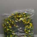 LSKYTOP 24Inches Artificial Daisy Flower Wreath with Eucalyptus Green Leave Spring Summer Wreath for Front Door Wall Decor (Yellow)