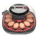 12-24 Egg Incubator with Humidity Display, Egg Candler, Automatic Egg Turner, for Hatching Chickens Duck Quail Parrot