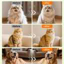 4-in-1 Cat Steam Brush, 2025 Upgraded Pet Steam Brush for Indoor Cats Dogs Spray Hair Removal Comb, 2 Spray Self-Cleaning Dog Brushes for Shedding,Massage,Cleaning Grooming (Green)