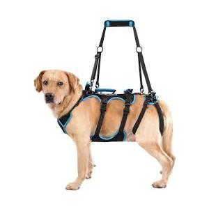 Lafoty Dog Lift Harness for Large Male Dogs, 2in1, Back Leg Support & Mobility Assistance for Senior Dogs, PostSurgery Recovery Sling(Black, Large)