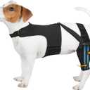Dog Knee Brace for Torn Acl Hind Leg, Adjustable for Back Leg with 10 Stabilizers, Reduces Pain, Ligament Injuries & Luxating Patella for Small Medium Large Dogs (Black)