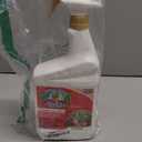 Bonide Captain Jack's Deadbug Brew Ready-to-Use Spray, 32 oz Outdoor Insecticide and Mite Killer for Organic Gardening (Pack of 2)