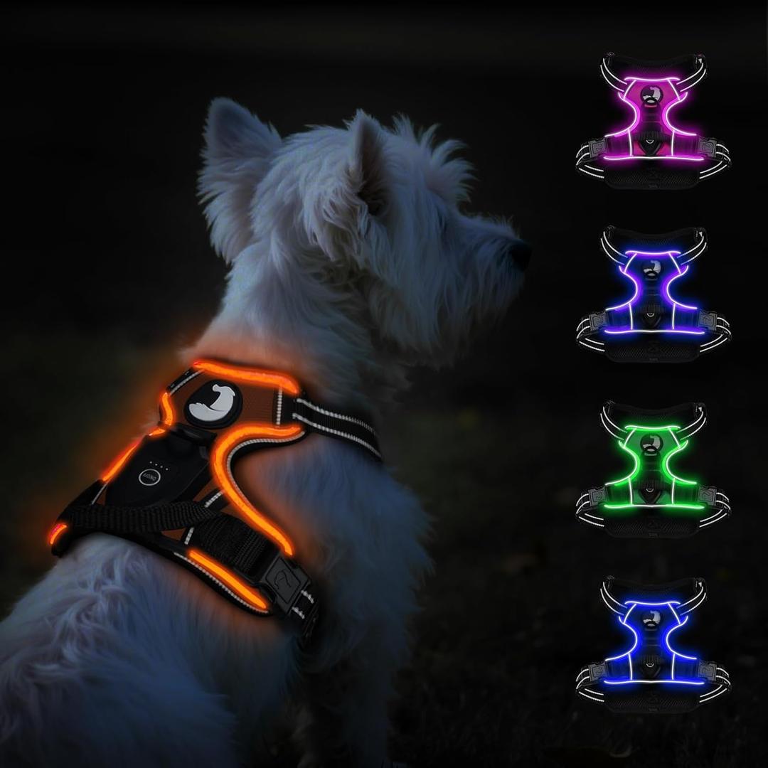 Taglory Light Up Dog Harness, Rechargeable No Pull Dog Vest with 3 Lightning Modes, Reflective Dog Harness with 2 Leash Clips & 4 Adjustable Slide Strips for Small Dogs, Orange-Orange, S