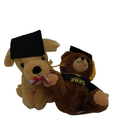 2 Pack Graduation Bear Class of 2025 and Puppy with Cap and Diploma 10 in Tall