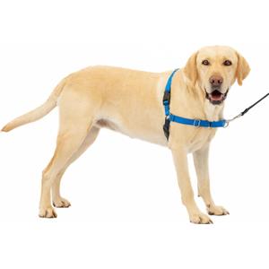 PetSafe Easy Walk No-Pull Dog Harness - Ultimate Harness to Help Stop Pulling - Pull-Free Walks - Take Control & Teach Better Leash Manners - Patented Martingale Loop Design - Royal Blue, Large