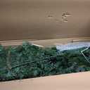 National Tree Company 6ft Pre-Lit Dunhill Fir Artificial Christmas Tree | 600 Clear Lights, 1,430 Tips, Includes Stand, Green