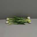 DAYHAP Artificial Flowers 10pcs Fake Tulips Real Touch, Faux Latex Tulips Flowers with Gift Box Soft Faux Tulips Bouquets Arrangements for Party Wedding Home Room Decoration(White)